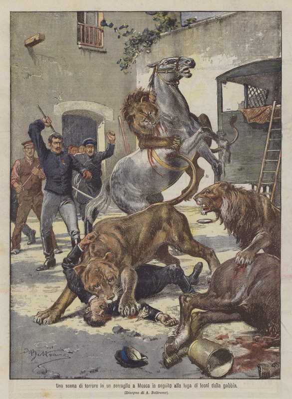 Una scena di terrore in un serraglio a Mosca in seguito alla fuga di leoni dalla gabbia da Achille Beltrame