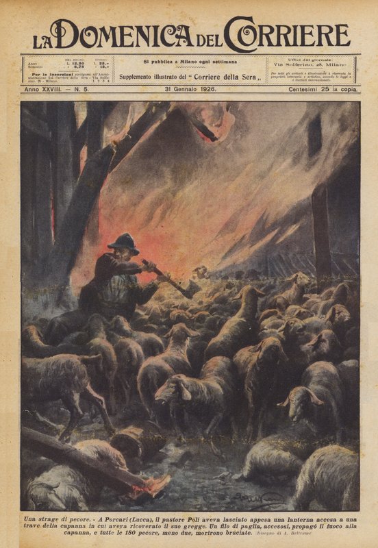 Una strage di pecore da Achille Beltrame