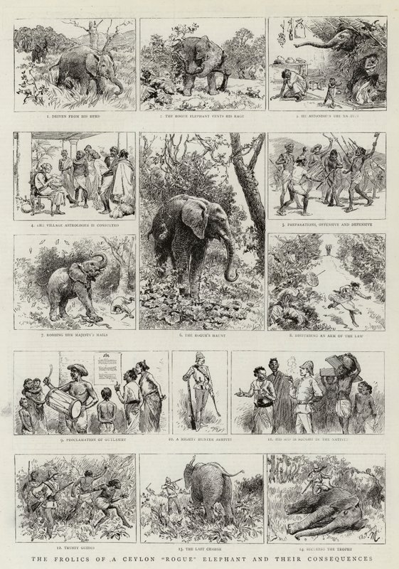 Le follie di un elefante canaglia di Ceylon e le loro conseguenze da Adrien Emmanuel Marie
