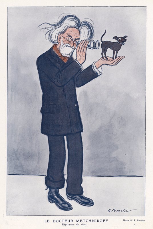 Elie Metchnikoff, zoologo russo da Adrien Barrere