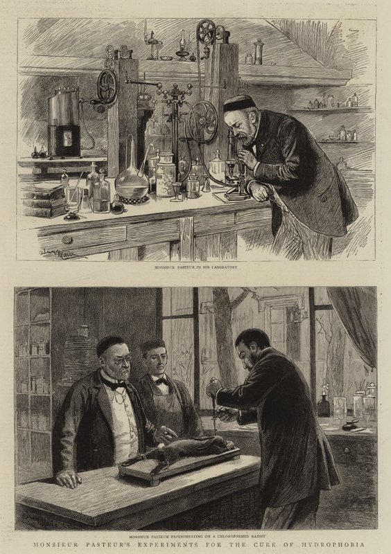 Gli esperimenti del signor Pasteur per la cura della rabbia da Adrien Emmanuel Marie