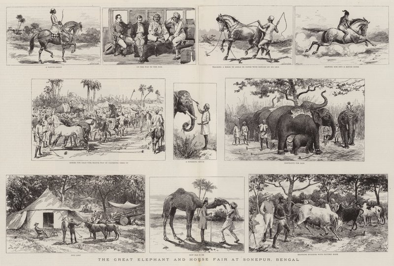 La grande fiera degli elefanti e dei cavalli a Sonepur, Bengala da Adrien Emmanuel Marie