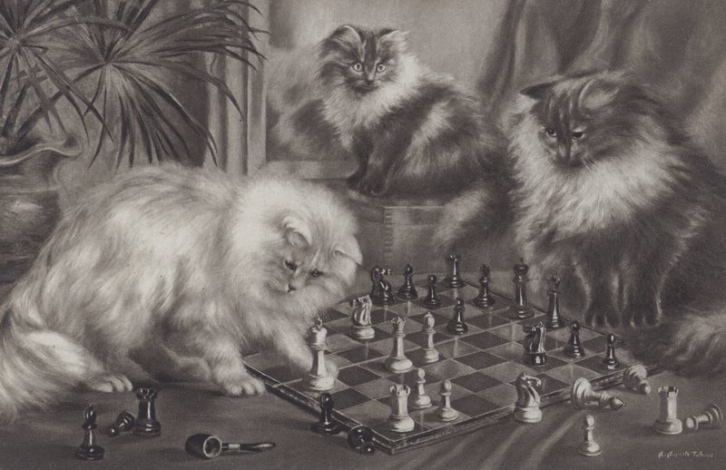 Gruppo di gatti che giocano con pezzi degli scacchi da Agnes Augusta Talboys
