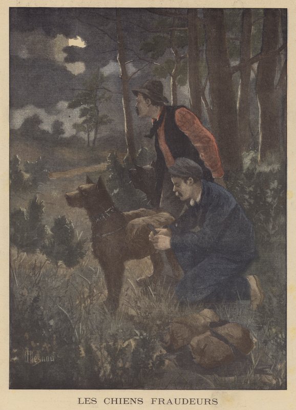 Cani usati dai contrabbandieri per trasportare contrabbando attraverso il confine da Albert Besnou