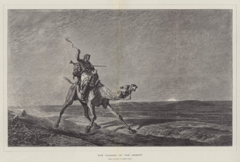 Il Corriere del Deserto da Alberto Pasini
