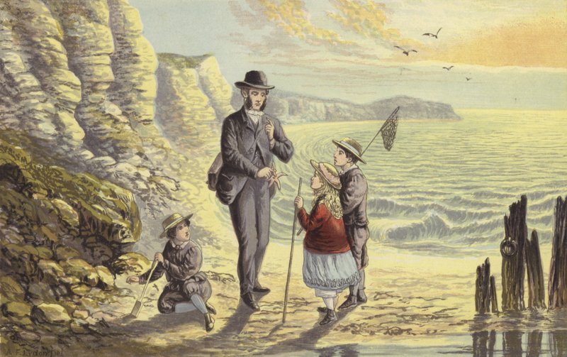 Sulla riva del mare da Alexander Francis Lydon