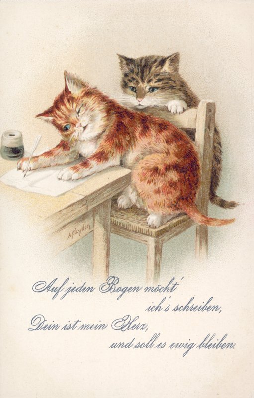 Cartolina umoristica con gatto da Alexander Francis (after) Lydon