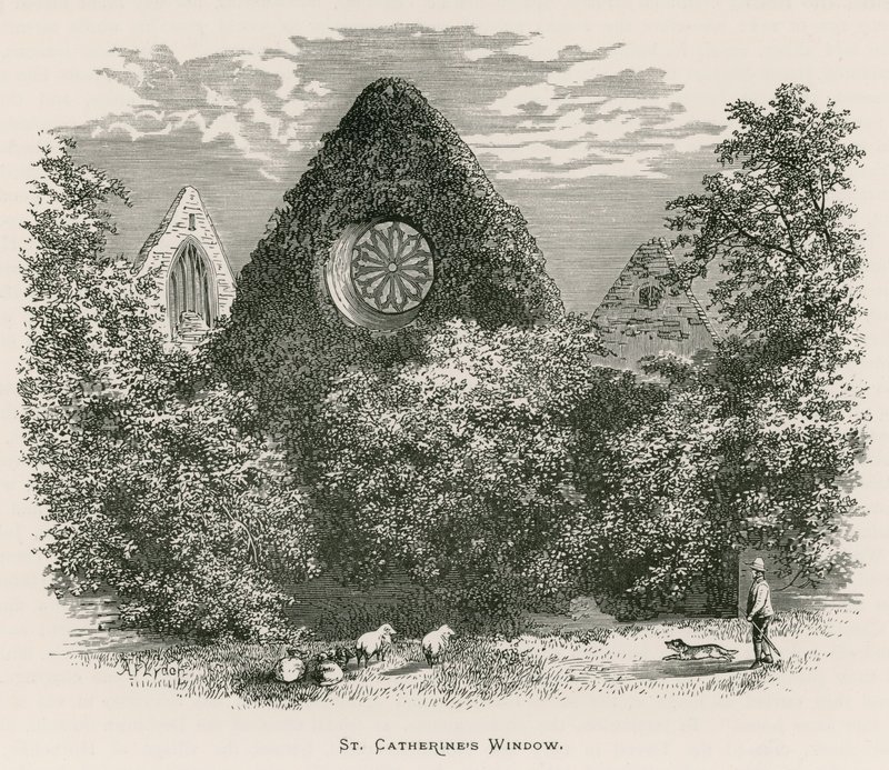 Abbazia di Dryburgh, finestra di Santa Caterina da Alexander Francis Lydon