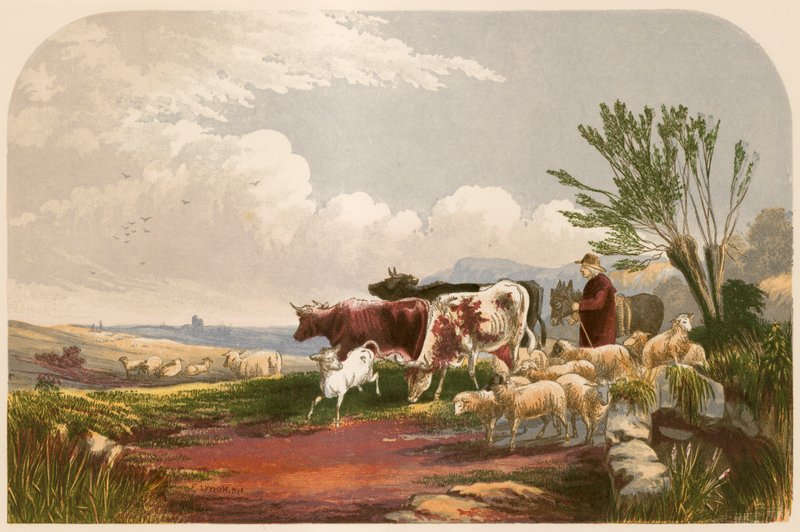 Illustrazione per 