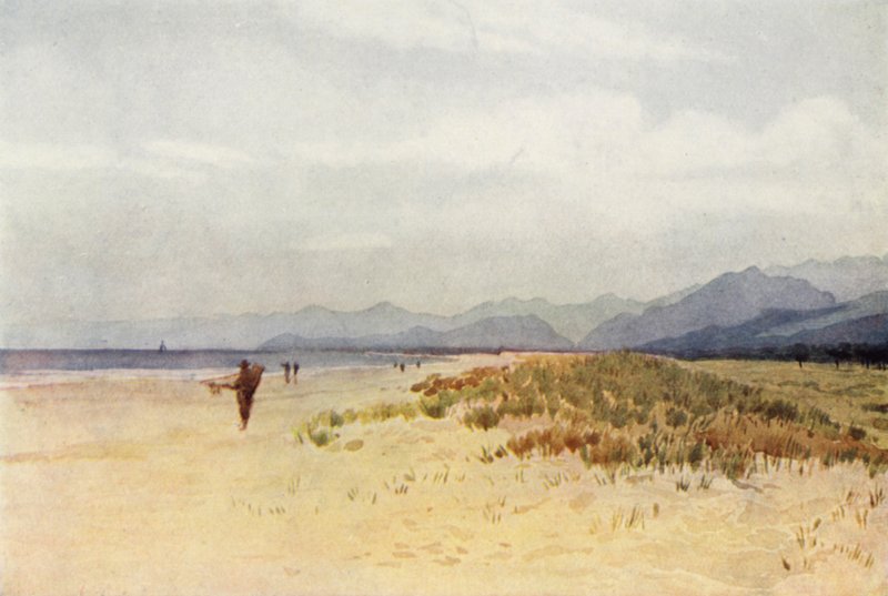 La Costa Nord di Viareggio da Alexander Henry Hallam Murray