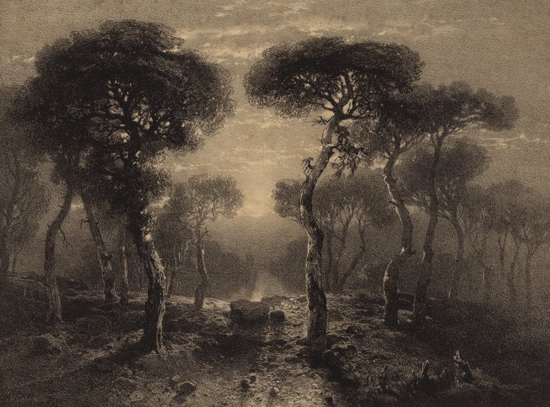 Paesaggio con alberi da Alexandre Calame