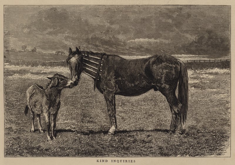 Gentili richieste da Alfred Chantrey Corbould