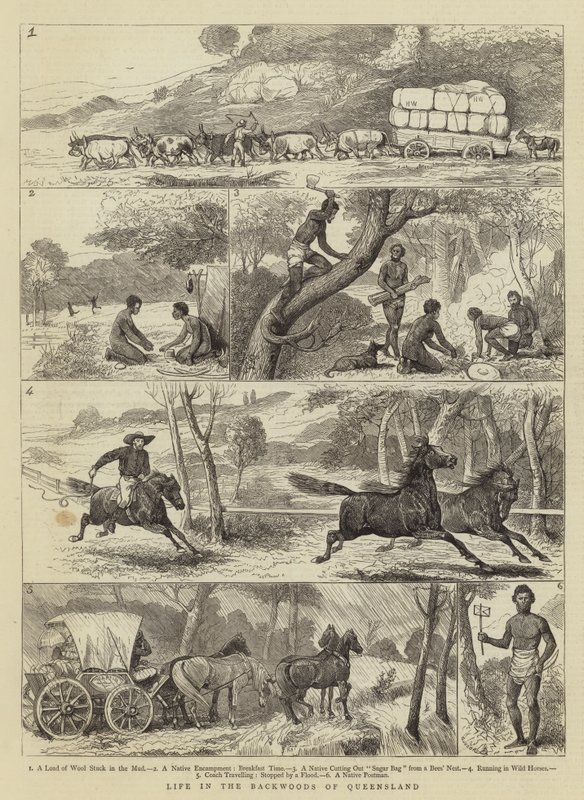 Vita nelle Foreste del Queensland da Alfred Chantrey Corbould