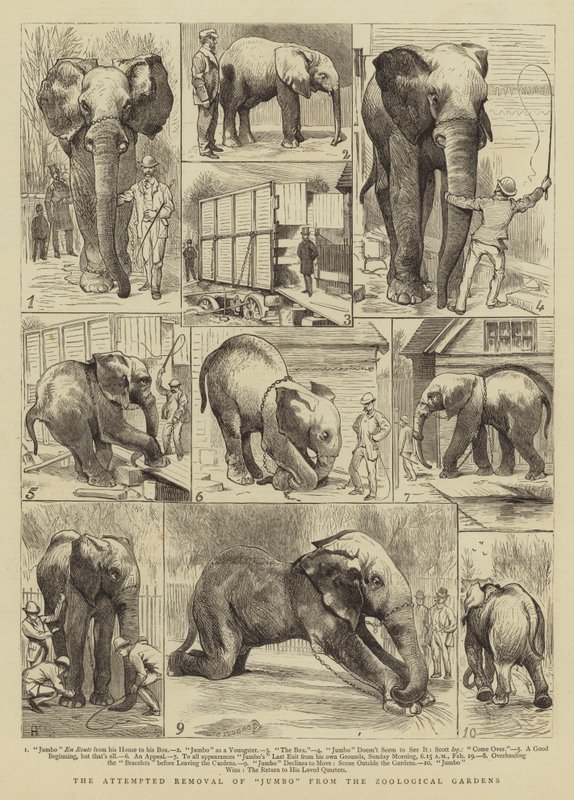 Il tentativo di rimozione di Jumbo dai Giardini Zoologici da Alfred Chantrey Corbould
