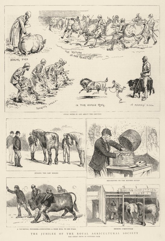 Il Giubileo della Royal Agricultural Society da Alfred Chantrey Corbould