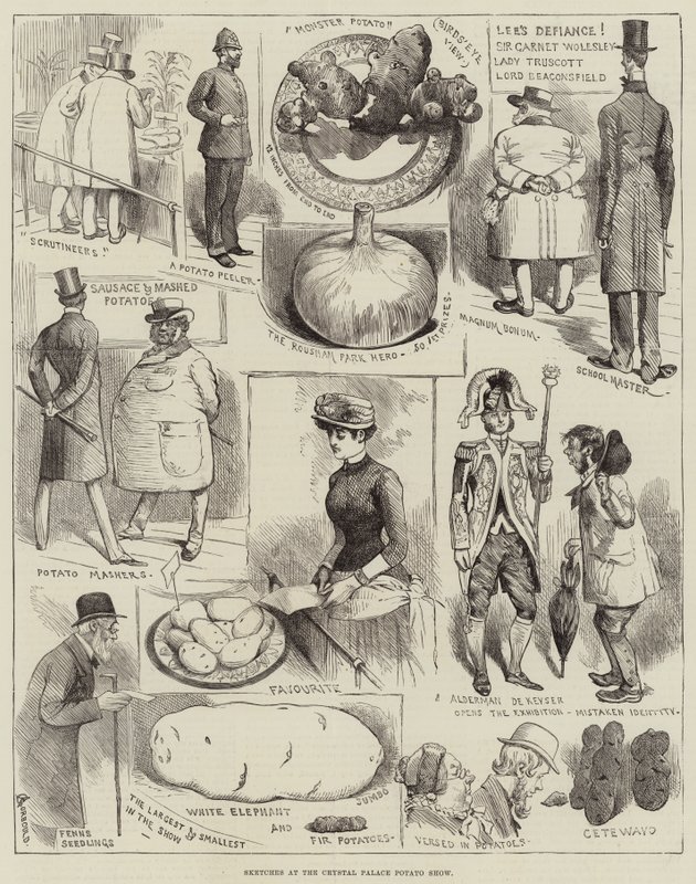 Schizzi alla mostra di patate del Crystal Palace da Alfred Courbould