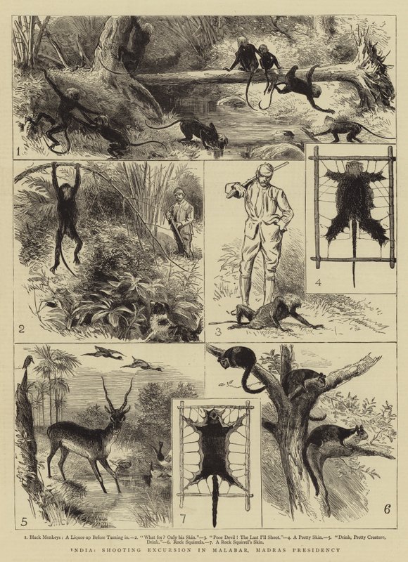 India, Escursione di Caccia nel Malabar, Presidenza di Madras da Alfred W. Cooper