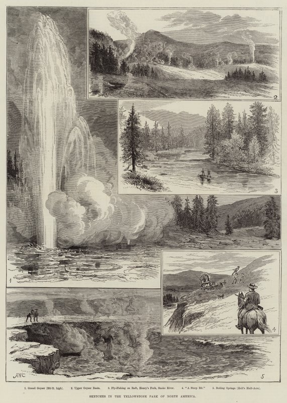 Schizzi al Parco di Yellowstone del Nord America da Alfred W. Cooper