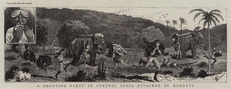 Una Battuta di Caccia in India Centrale attaccata da Calabroni da Alfred Chantrey Corbould