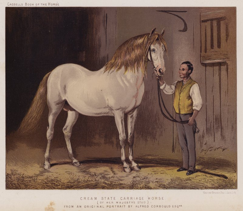 Cavallo da carrozza di stato crema, dello stud della sua Maestà (litografia a colori) da Alfred Chantrey Corbould