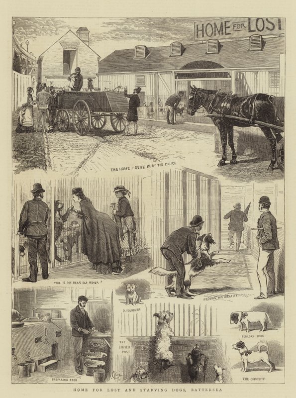 Casa per cani persi e affamati, Battersea da Alfred Chantrey Corbould