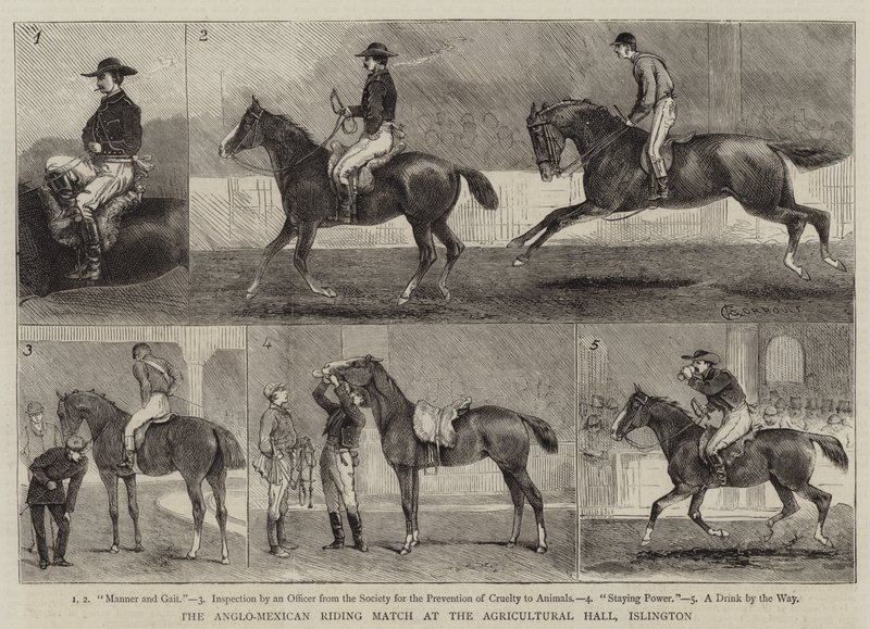 La gara di equitazione anglo-messicana all