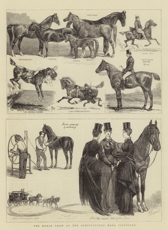 La mostra di cavalli alla Agricultural Hall, Islington da Alfred Chantrey Corbould