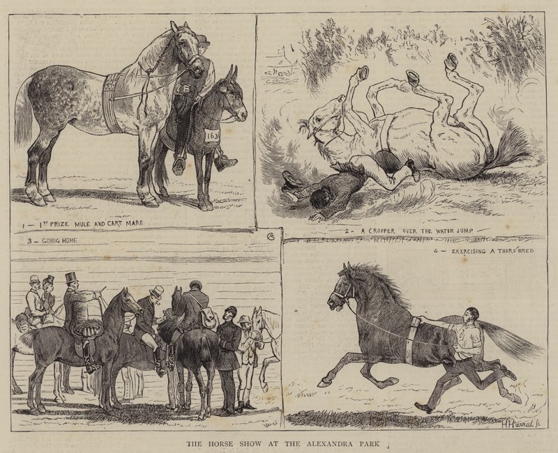 La mostra del cavallo al Parco Alexandra da Alfred Chantrey Corbould