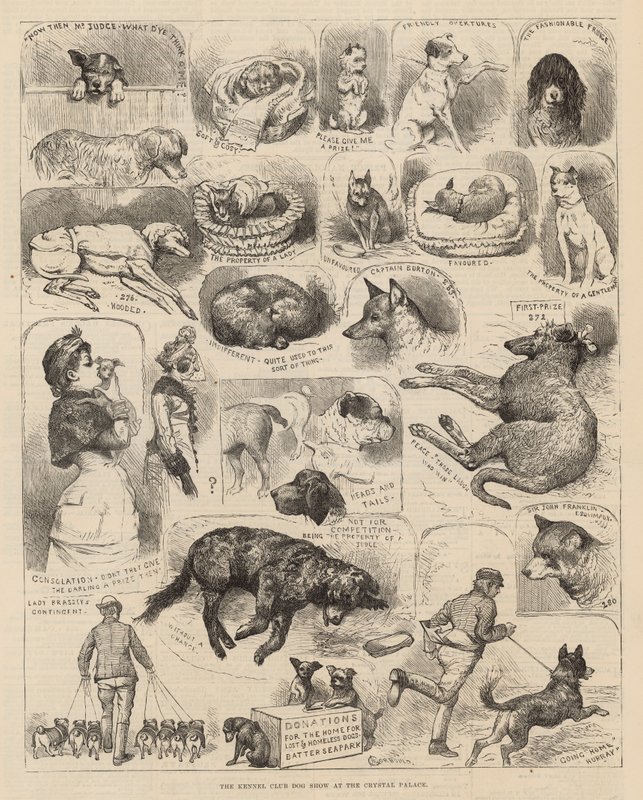 La mostra canina del Kennel Club al Crystal Palace da Alfred Chantrey Corbould