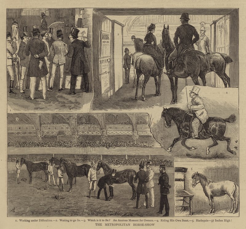 Lo spettacolo equestre metropolitano da Alfred Chantrey Corbould