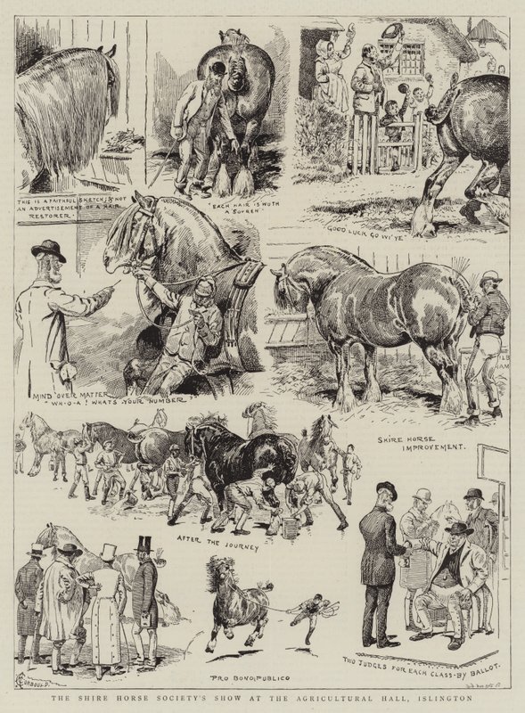 Mostra della Shire Horse Society all