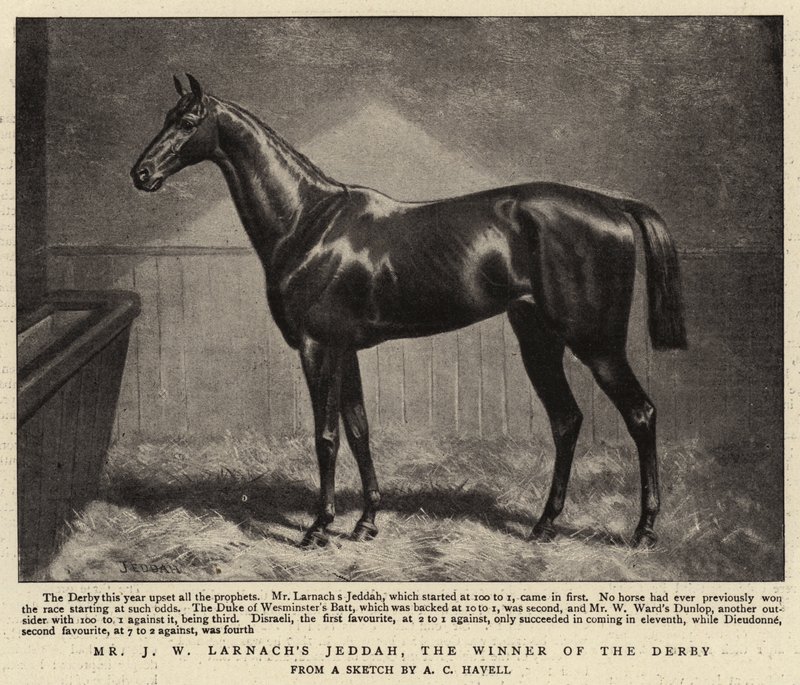 Mr J W Larnachs Jeddah, il vincitore del Derby da Alfred Charles Havell