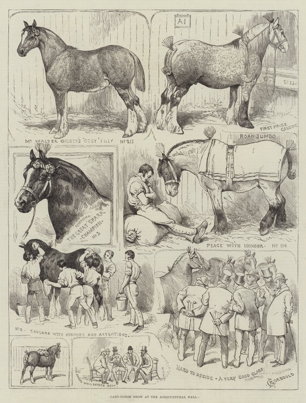 Mostra di cavalli da tiro all