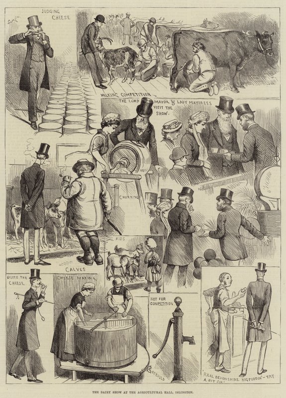 La mostra lattiero-casearia alla Agricultural Hall, Islington da Alfred Courbould