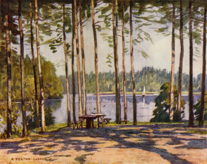 Danimarca: Gribscoven, Il lago del padiglione del re da Alfred Heaton Cooper