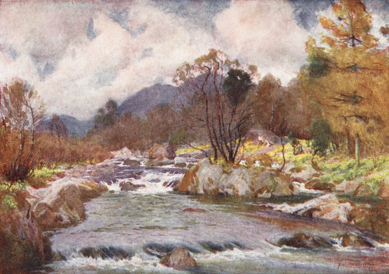 Distretto dei Laghi: Narcisi sulle rive del Silvery Duddon da Alfred Heaton Cooper