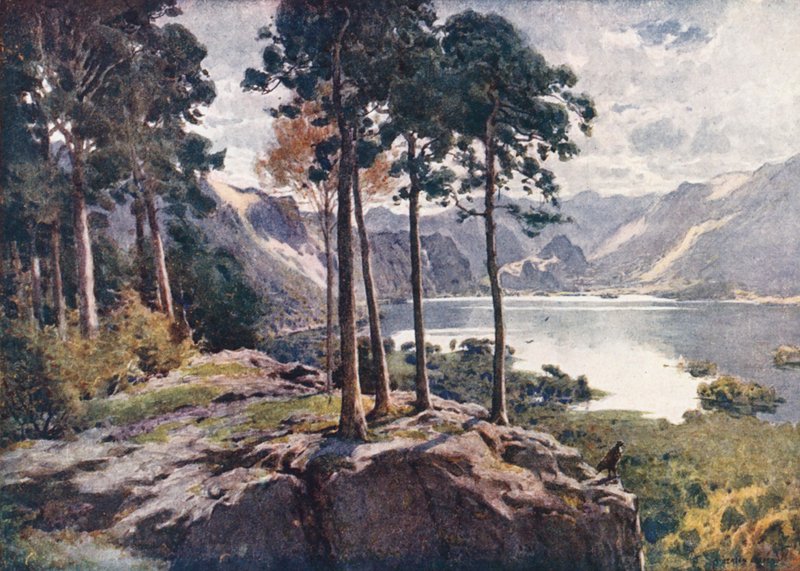 Distretto dei Laghi: Derwentwater, da Castle Head, una mattina luminosa da Alfred Heaton Cooper