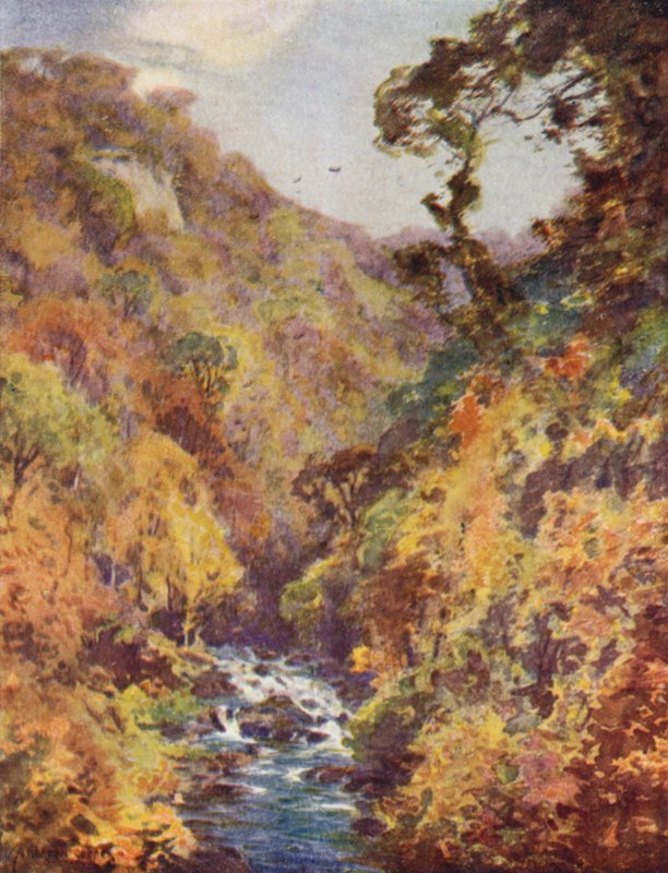 Il Dargle, Contea di Wicklow da Alfred Heaton Cooper