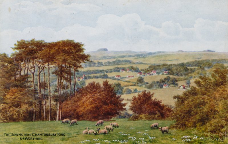 Le Downs con Chantonbury Ring, vicino a Worthing da Alfred Robert Quinton