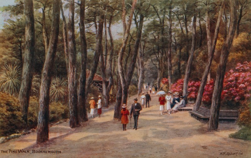Il Viale dei Pini, Bournemouth da Alfred Robert Quinton