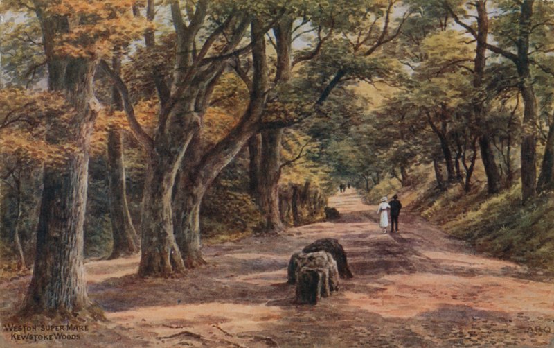 Weston-Super-Mare, Kewstoke Woods da Alfred Robert Quinton