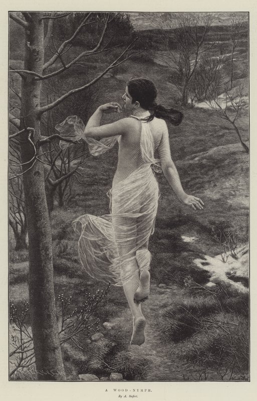Una Ninfa del Bosco da Alfred Seifert