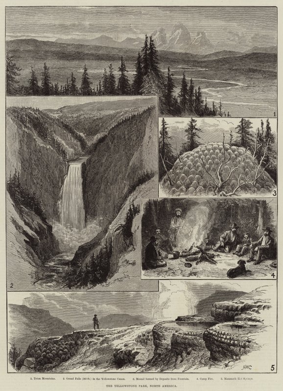 Il Parco di Yellowstone, Nord America da Alfred W. Cooper
