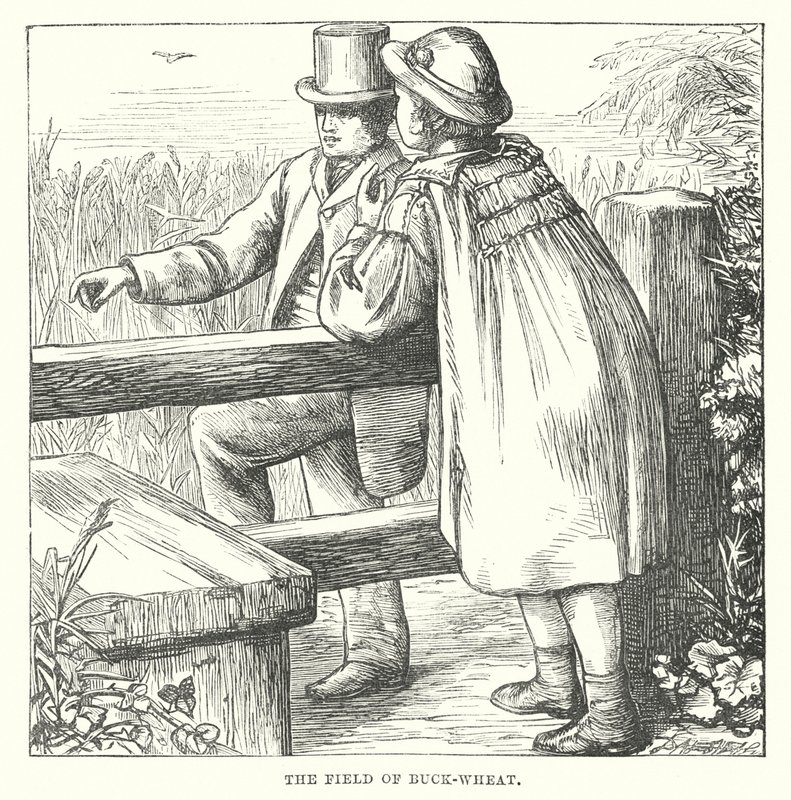  da Alfred Walter (after) Bayes