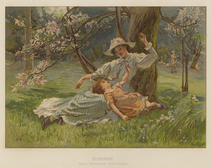 Luce del sole da Alice Havers