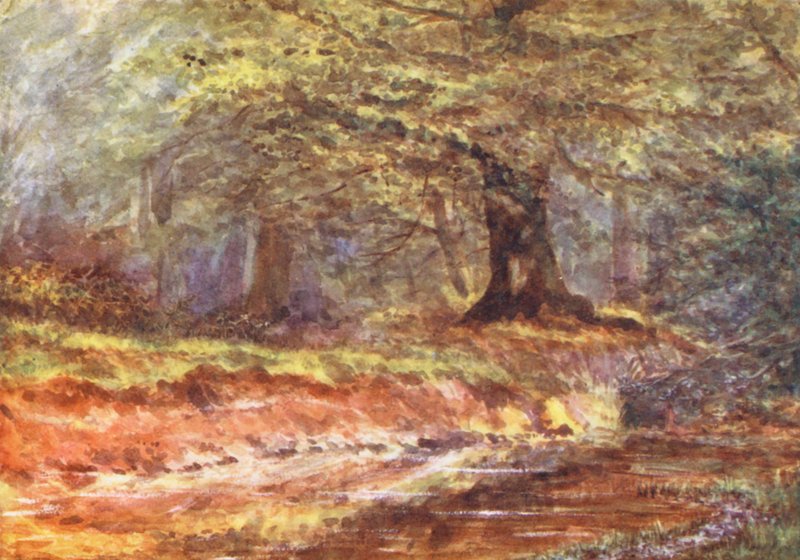 New Forest: Nel pergolato della regina, mezza estate (litografia a colori) da Alice Julia Argles