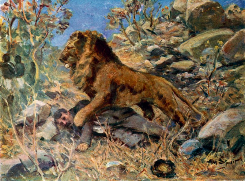 David Livingstone, Livingstone e il leone da Allan (after) Stewart