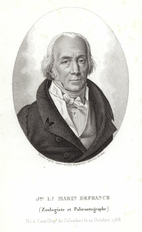 Jacques-Louis Marin de France da Ambroise Tardieu