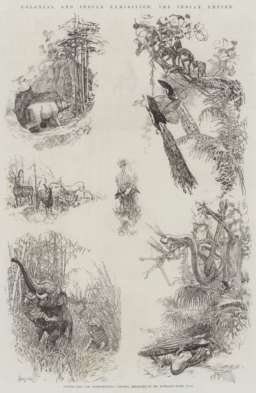 Esposizione Coloniale e Indiana, l
