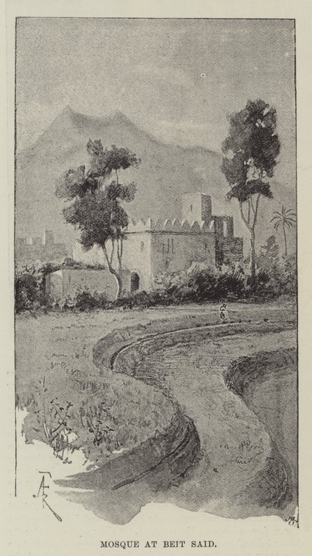 Moschea a Beit Said da Amedee Forestier